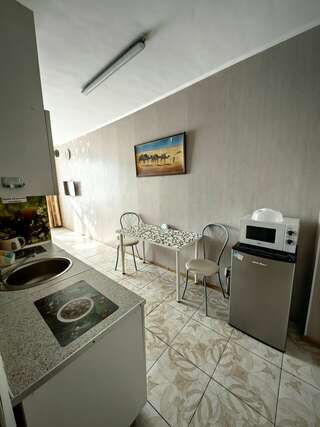 Гостиница Милена Пушкин Апартаменты с 1 спальней-7