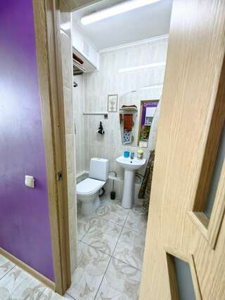 Гостиница Милена Пушкин Апартаменты с 1 спальней-3