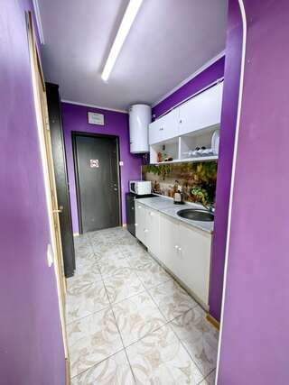 Гостиница Милена Пушкин Апартаменты с 1 спальней-4