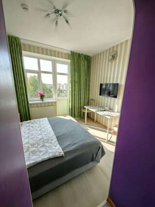 Гостиница Милена Пушкин Апартаменты с 1 спальней-1