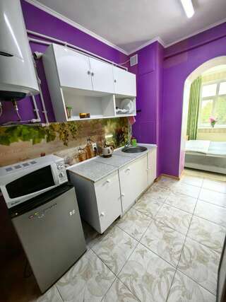 Гостиница Милена Пушкин Апартаменты с 1 спальней-5