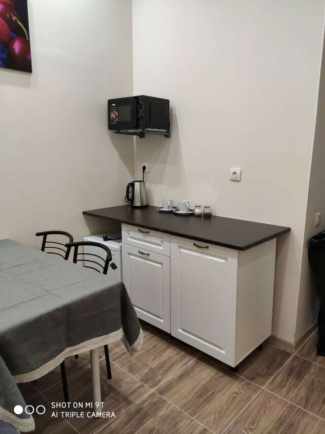 Гостиница Милена Пушкин-96