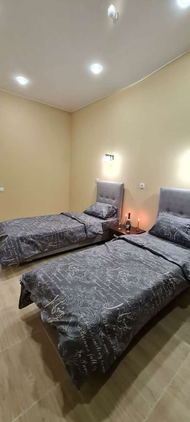 Гостиница Милена Пушкин-33