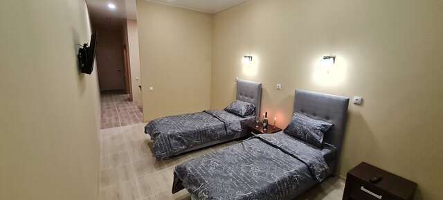 Гостиница Милена Пушкин-99