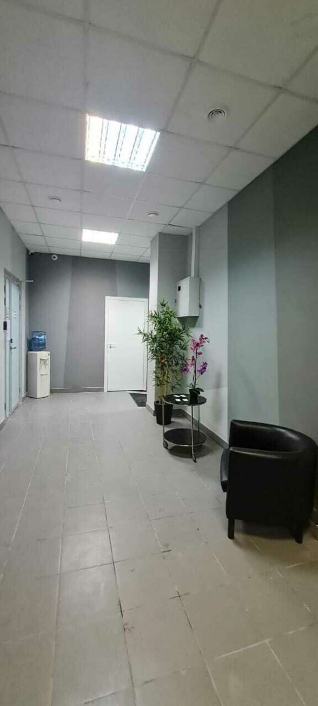 Гостиница Милена Пушкин-3