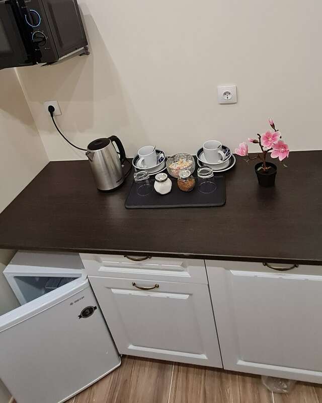 Гостиница Милена Пушкин-91