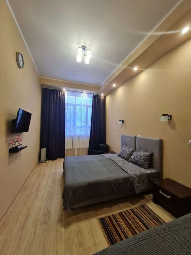 Гостиница Милена Пушкин-31