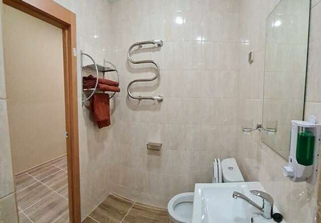 Гостиница Милена Пушкин-47