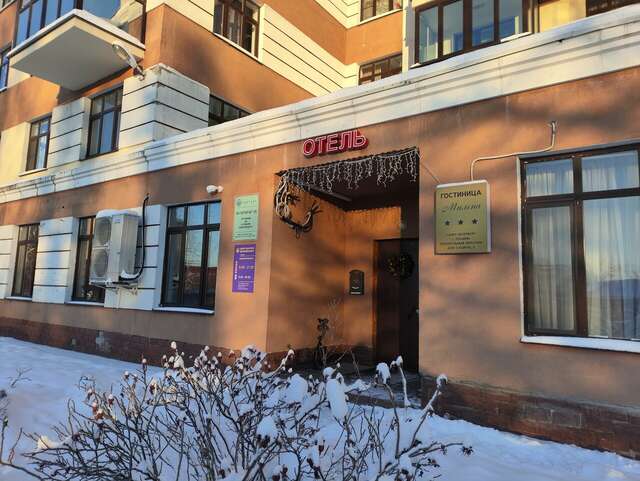 Гостиница Милена Пушкин-83