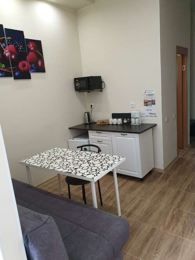 Гостиница Милена Пушкин-41