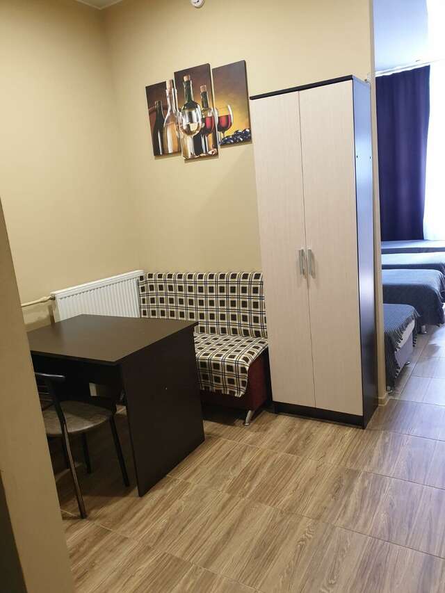 Гостиница Милена Пушкин-24