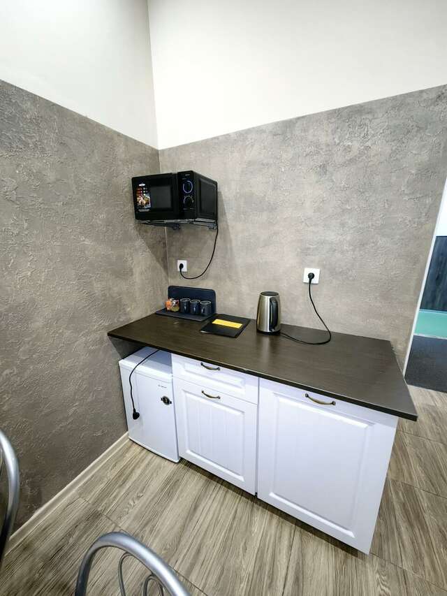 Гостиница Милена Пушкин-25