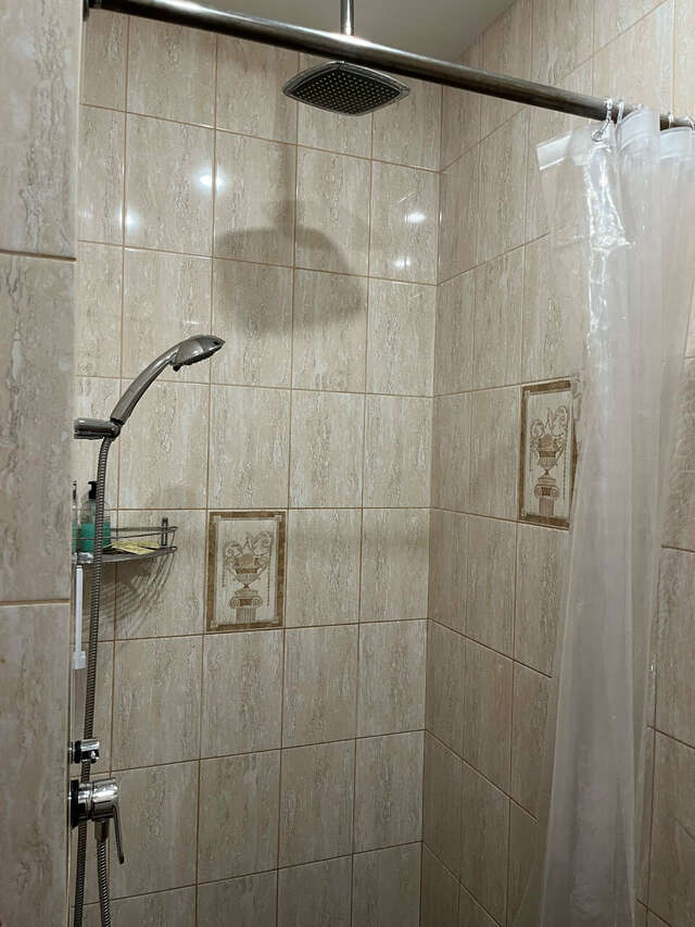 Гостиница Милена Пушкин-87