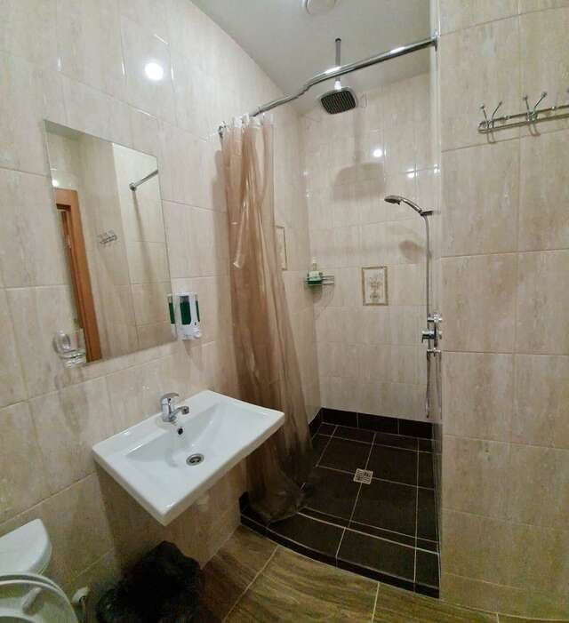 Гостиница Милена Пушкин-71