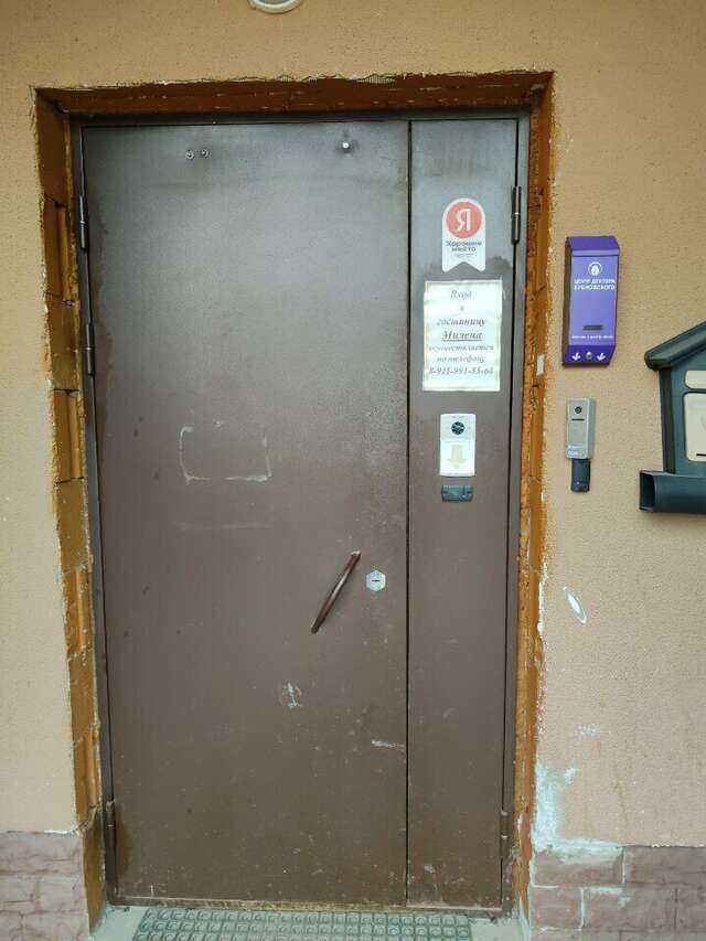 Гостиница Милена Пушкин-16