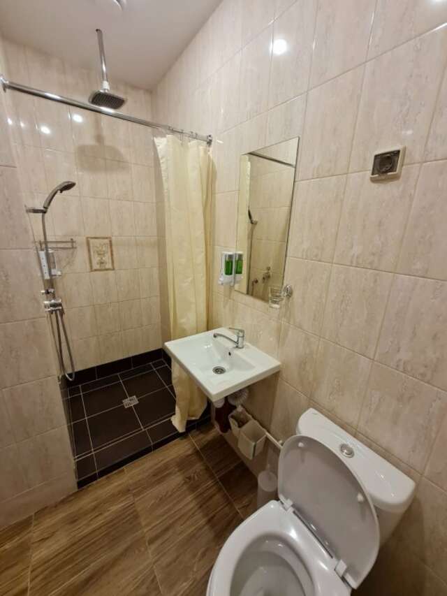 Гостиница Милена Пушкин-69