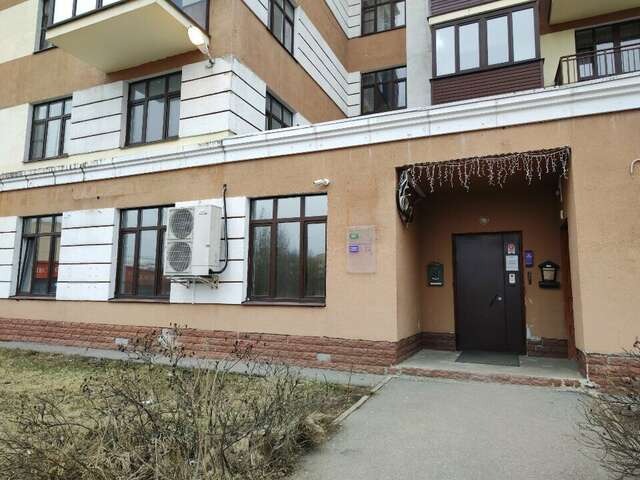 Гостиница Милена Пушкин-38