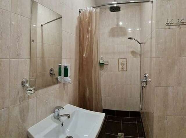 Гостиница Милена Пушкин-12