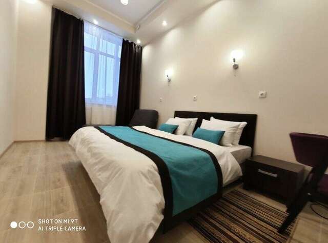 Гостиница Милена Пушкин-78