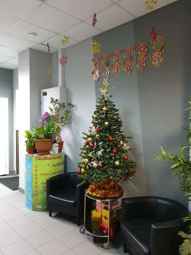 Гостиница Милена Пушкин-82