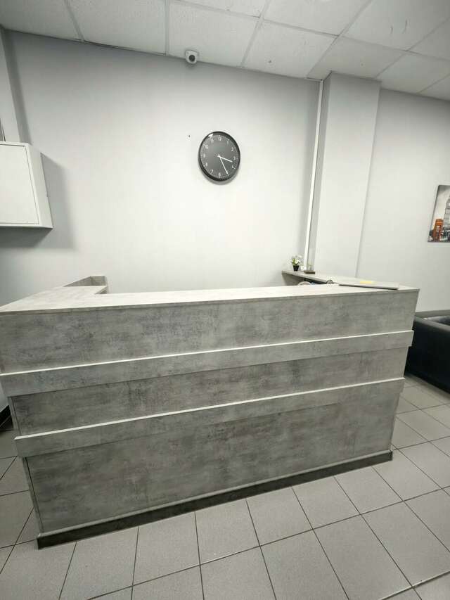 Гостиница Милена Пушкин-11